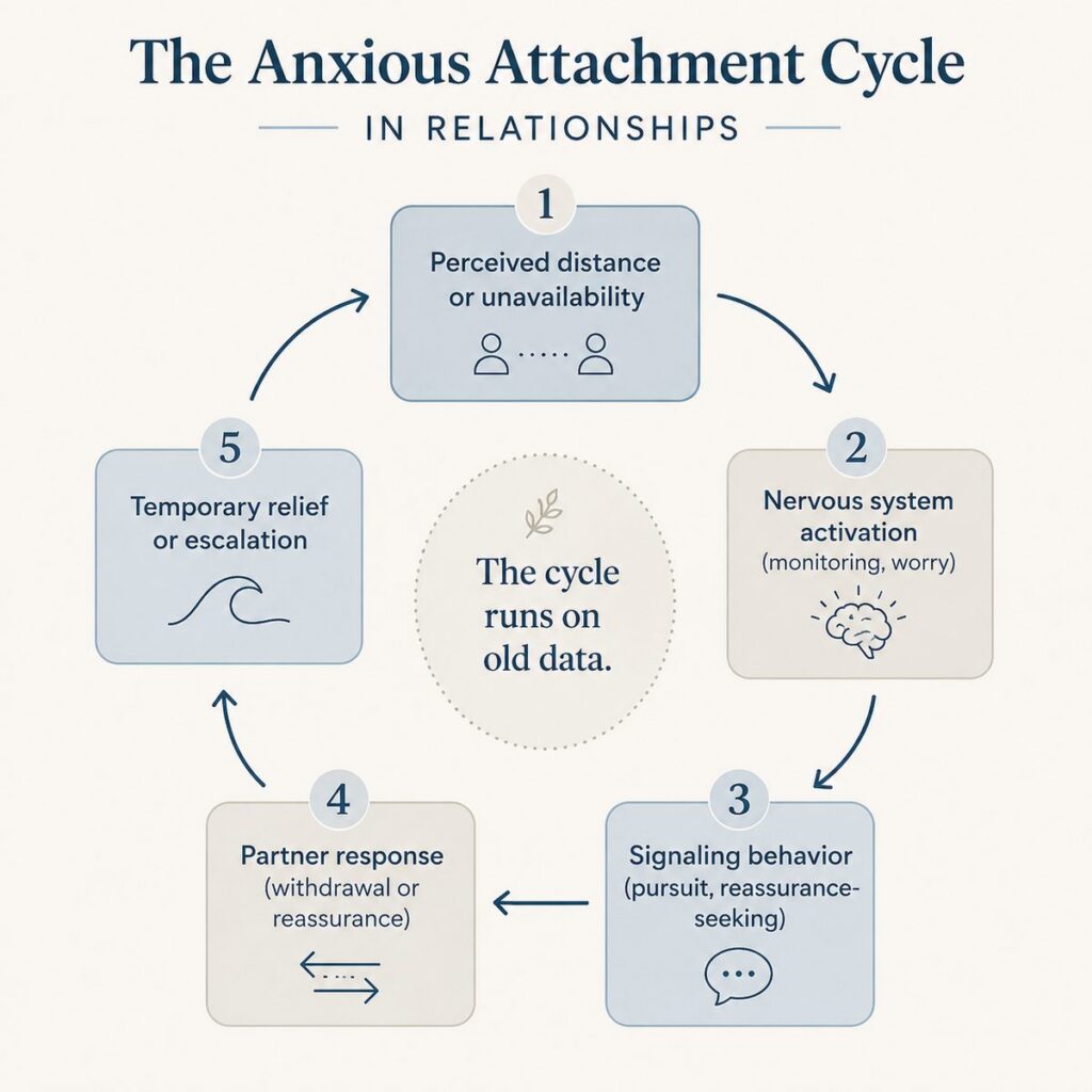 Circular diagram showing the five stages of the anxious attachment cycle in relationships — Orpen Therapy Seattle