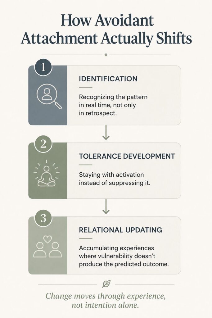 Three-stage diagram showing how avoidant attachment shifts through identification, tolerance development, and relational updating — Orpen Therapy Seattle