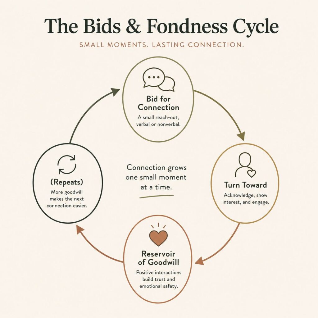 Diagram of a loving marriage's bids and fondness cycle: bid for connection, turn toward, reservoir of goodwill, repeat