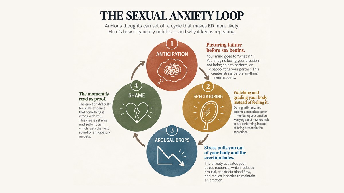 Circular infographic of the sexual anxiety loop: anticipation, spectatoring, arousal dropping, and shame feeding erectile dysfunction. Orpen Therapy Seattle